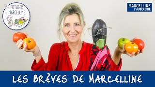 Au Domaine Bertaud Belieu, P’tit Bertaud by Polynésie fête le Potager de Marcelline