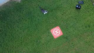 DJI 0017