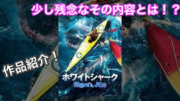 『ホワイト・シャーク 海底の白い死神』【映画紹介】ネタバレなし！海の実話！少し残念なその内容とは？？