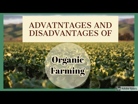 Advantages and Disadvantages of Organic Farming