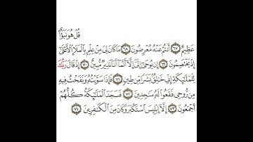 سورة ص 15 القسم الخامس عشر تكرار كيفي من .. قل هو نبأ عظيم أنتم عنه معرضون .. إلى .. من الكافرين