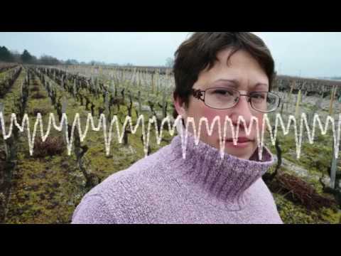 pesticide resistance 