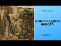 Виноградник Навота (Навотея) 1(3) Царств 21