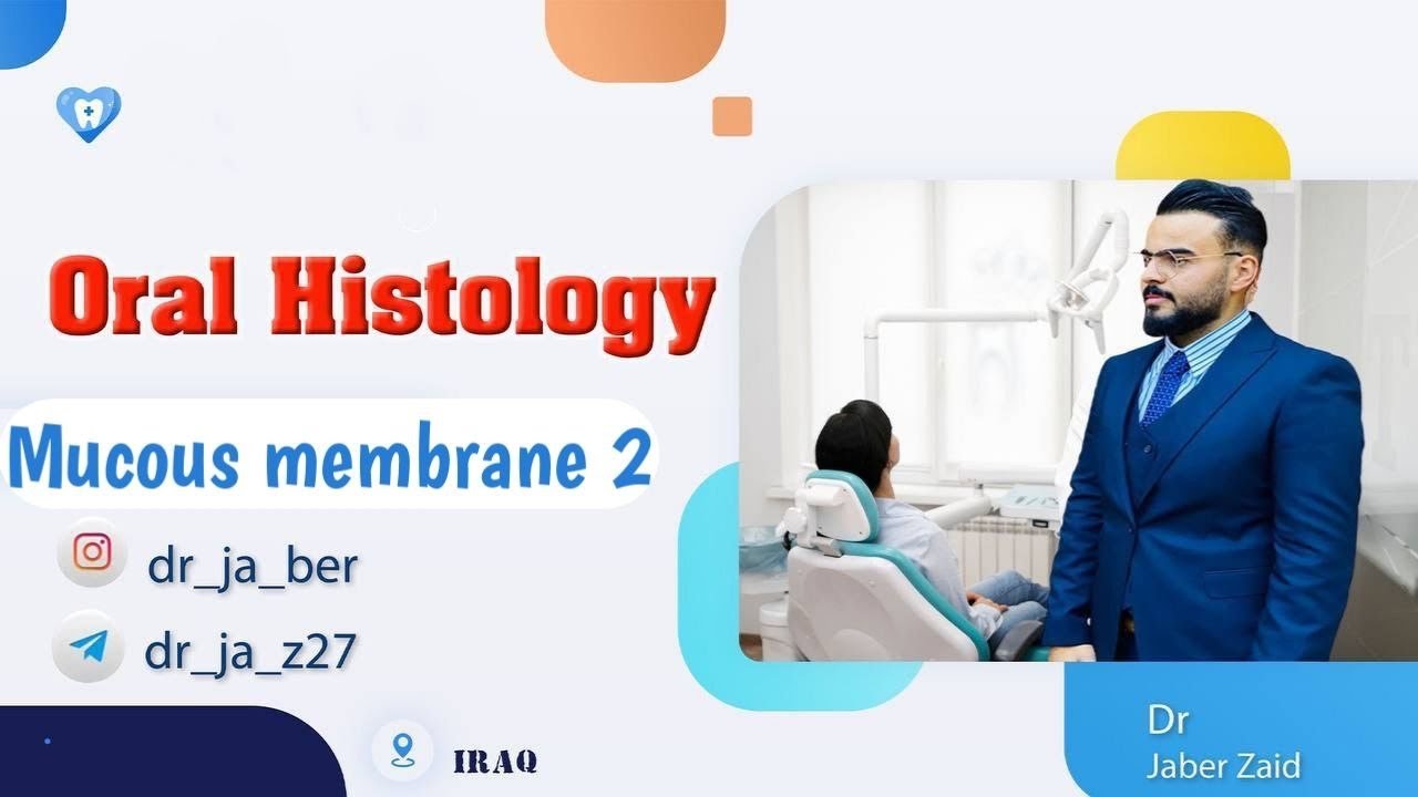 Oral Histology _ ( Mucous Membrane Part 2 )#محاضرات #جامعة #بغداد #طب #الأسنان