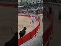 هذه الجرية تصير بعد ام الركب 