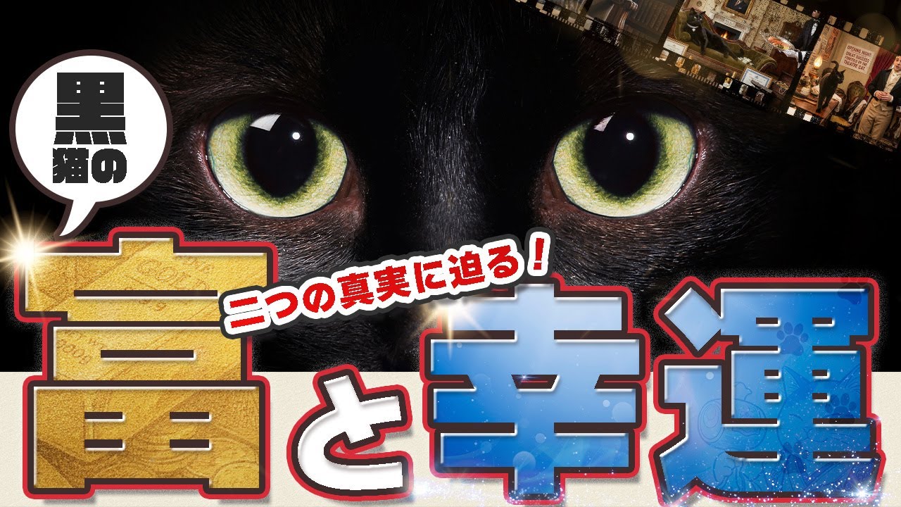 Black Cat Wealth and Good Fortune - YouTube