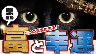 Black Cat Wealth and Good Fortune - YouTube