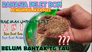 BOMB BARDIR...!!! UNVEILING THE ULTIMATE RECIPE OF GOLDFISH COLLECTORS That Makes Goldfish Gather...