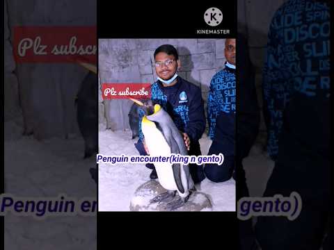 Mall of Emirates |Ski Dubai | Penguin encounter #shorts #youtubeshorts #viralshort #trending