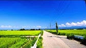 夏影 死にたくなるほど夏を感じる画像集 Part2 ぼくなつ Youtube