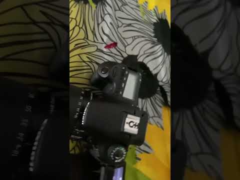 Canon 60d review