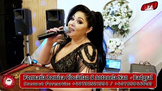 Formatia Romică Ciocârlan ❌ Antonela Nan ❌ Studio C.R.S. 🎵 Badgyal 🎵 💯% Live 🔴 Cover
