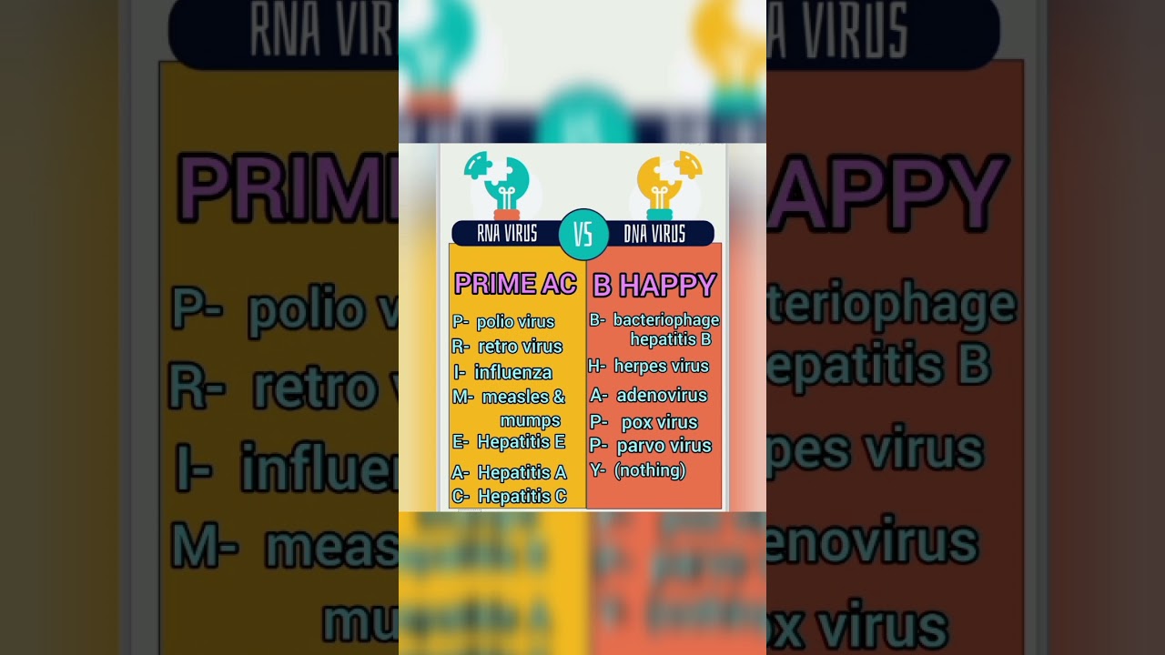 Viruses | RNA | DNA |1st year | Biology | 