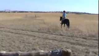 Eq2011 Rita & Oreo M2U00506