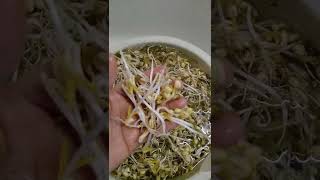 How to wash the beans Sprout to off the skin #Asmr #BeanSprout #Short #Video
