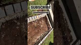 HOW TO INSTALL COBBLESTONES l Cement Cobble Border / #shorts #nailandscrew