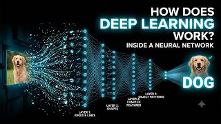 How Do Neural Networks REALLY Learn  | Deep Learning Explained