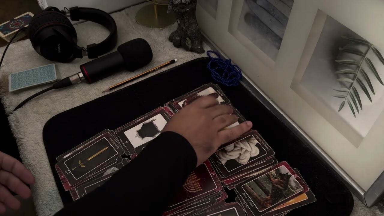 GEMEOS  - O GUM ESTÁ ABRINDO OS SEUS CAMINHOS - UMA NOVA CASA TE ESPERA!