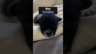 She Left Her Newborn Baby