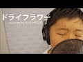 【RYU.HOUSE】ドライフラワー／優里 covered by りゅうハウス