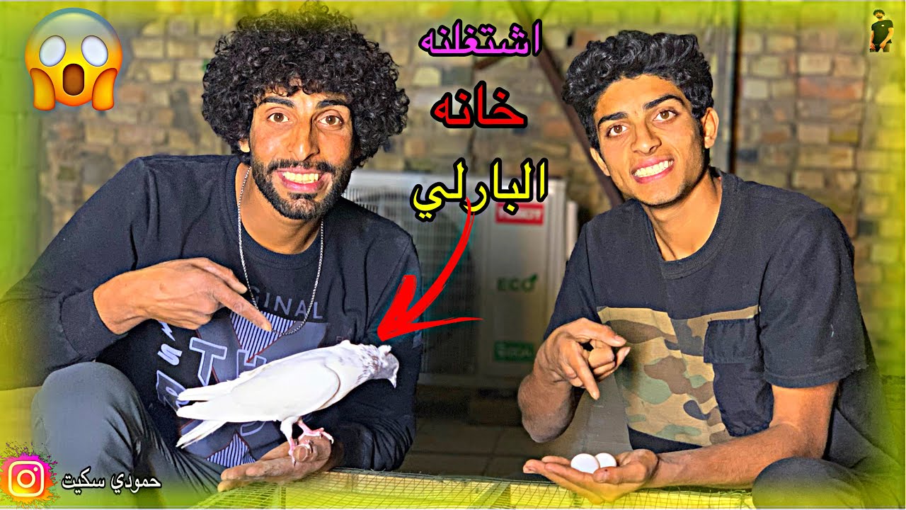 اليوم سوينه خانة البارلي اليف حمودي سكيت 2024