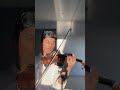 stereo love violin