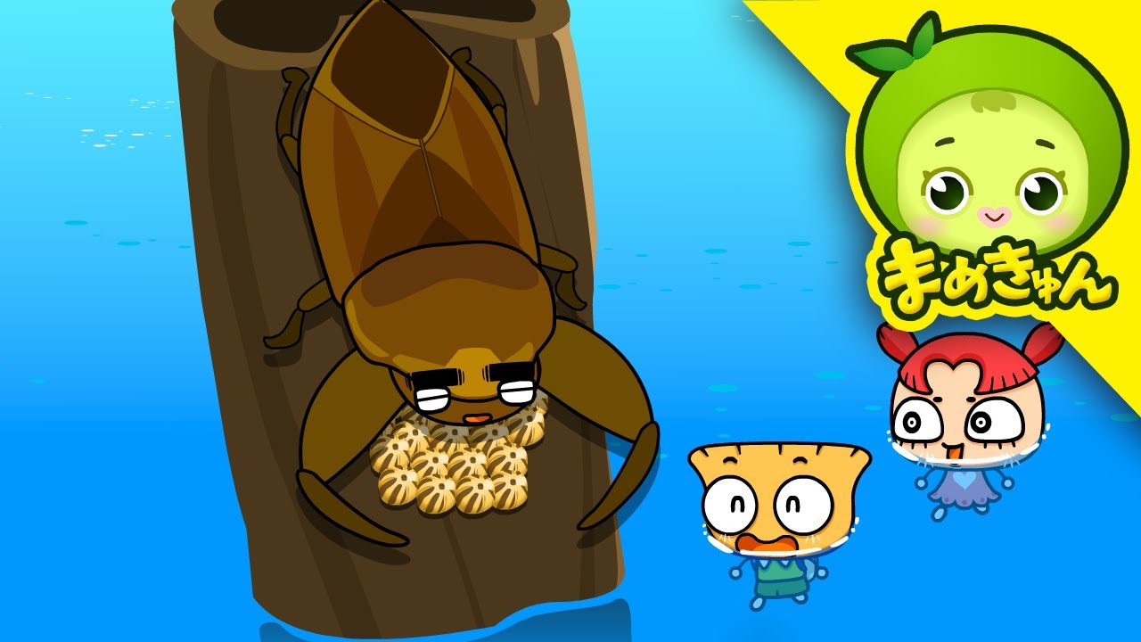 水の中で一番強いのは？ | 昆虫探検 #22 | タガメ | まめきゅん MAMEKYUNN