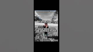 Download lagu CHA CHA TAUFIQ AKMAL(edit(DE BREGA FUNK PARTY)distan.2024.Mp3⚡🌴