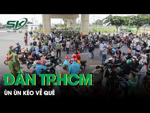 Video: Cách Hạn Chế Lưu Lượng Trên Mạng Cục Bộ