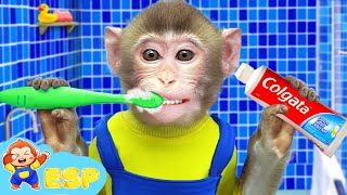 Mono Kiki cepillarse los dientes en el baño | Mono KiKi ESP