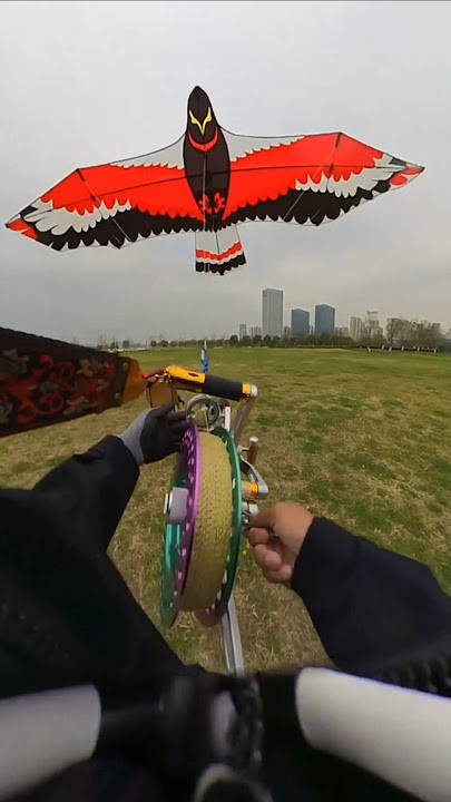 How to Control a Layangan Kite Like a Pro 🪁#layangan #shorts