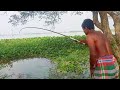 Jamalpur will be surprised to see so many fish eating spears in one bill best fishing