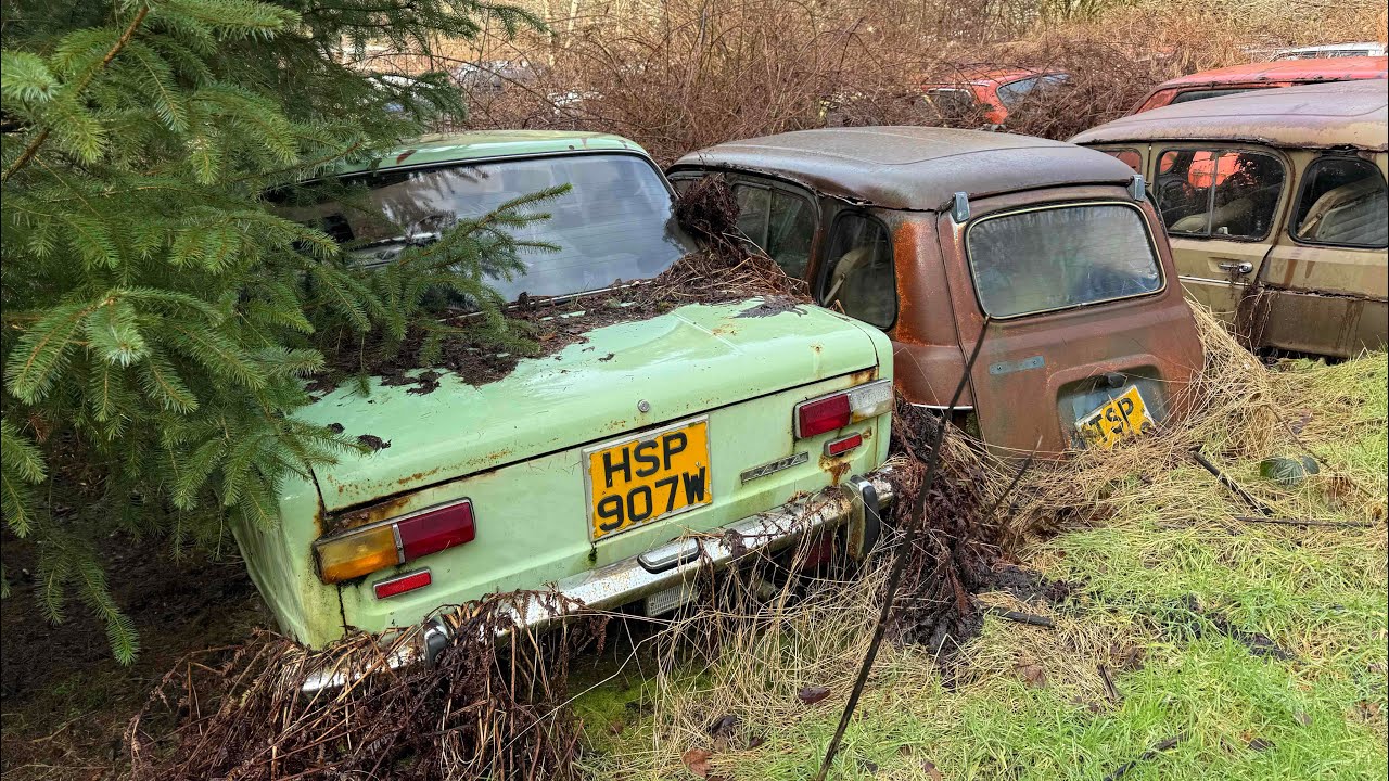 Более 150 брошенных классических автомобилей оставлены гнить в лесу. *Кладбище автомобилей*