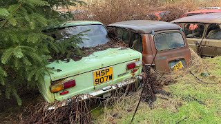 OVER 150 ABANDONED CLASSIC CARS LEFT TO DECAY IN THE WOODS *CAR GRAVEYARD*