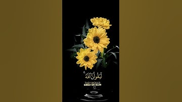 صباح الخير 🌼حالات واتس اب مقاطع قصيره🌼قران كريم سورة العنكبوت ولئن سألتهم🌼عبد الرحمن مسعد بدون حقوق