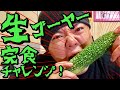 【過酷】生ゴーヤーまるごと1本完食チャレンジ！食べ切る事が出来るのか！？
