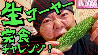 【過酷】生ゴーヤーまるごと1本完食チャレンジ！食べ切る事が出来るのか！？