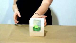 BakeABox.com's Awesome New Single Cupcake Box w/ Insert