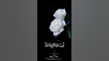 صباح الخير 🤍حالات واتس اب مقاطع قصيره🤍قران كريم سورةالبقره وإذا سألك عبادي عني أحمد النفيس🤍بدون حقوق