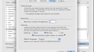 Filemaker Tutorial - 040 - How The Index Works