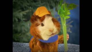 The Wonder Pets - Linny's Song! The Wonder Pets - Linny's Song!