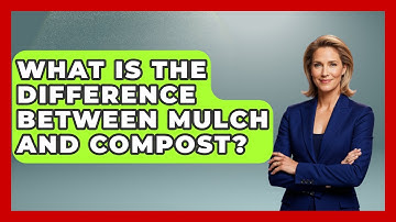 What Is The Difference Between Mulch And Compost? - The Plant Enthusiast