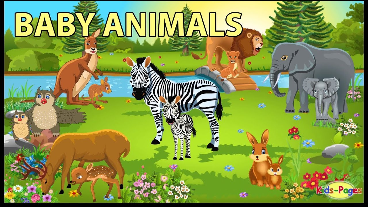 Baby Animals Names And Sounds Youtube