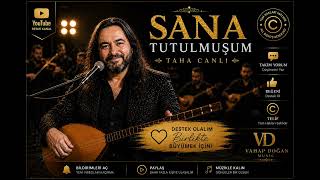 Sana Tutulmuşum 🎵 Taha Canlı 2025 Duygusal Türk Halk Müziği