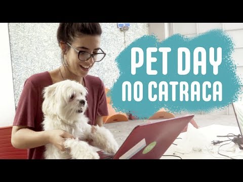 Vídeo: Cães No Trabalho Reduzem O Estresse No Local De Trabalho, Afirma Um Estudo Dos EUA