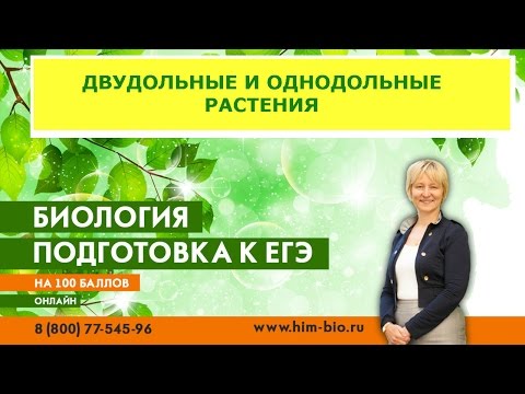 Двудольные и Однодольные растения. Теория и практика  ЕГЭ/ОГЭ 2017.