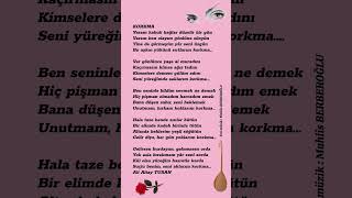 Ali Altay Turan /Korkma Resimi