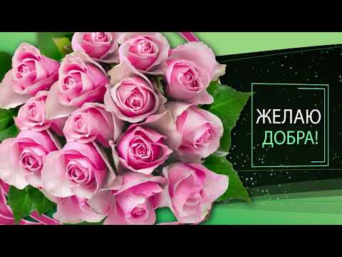✅Желаю добра✅ Анимационная открытка