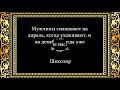 Мудрые цитаты - про мужчин