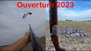 Ouverture 2023 aux pigeons ramiers
